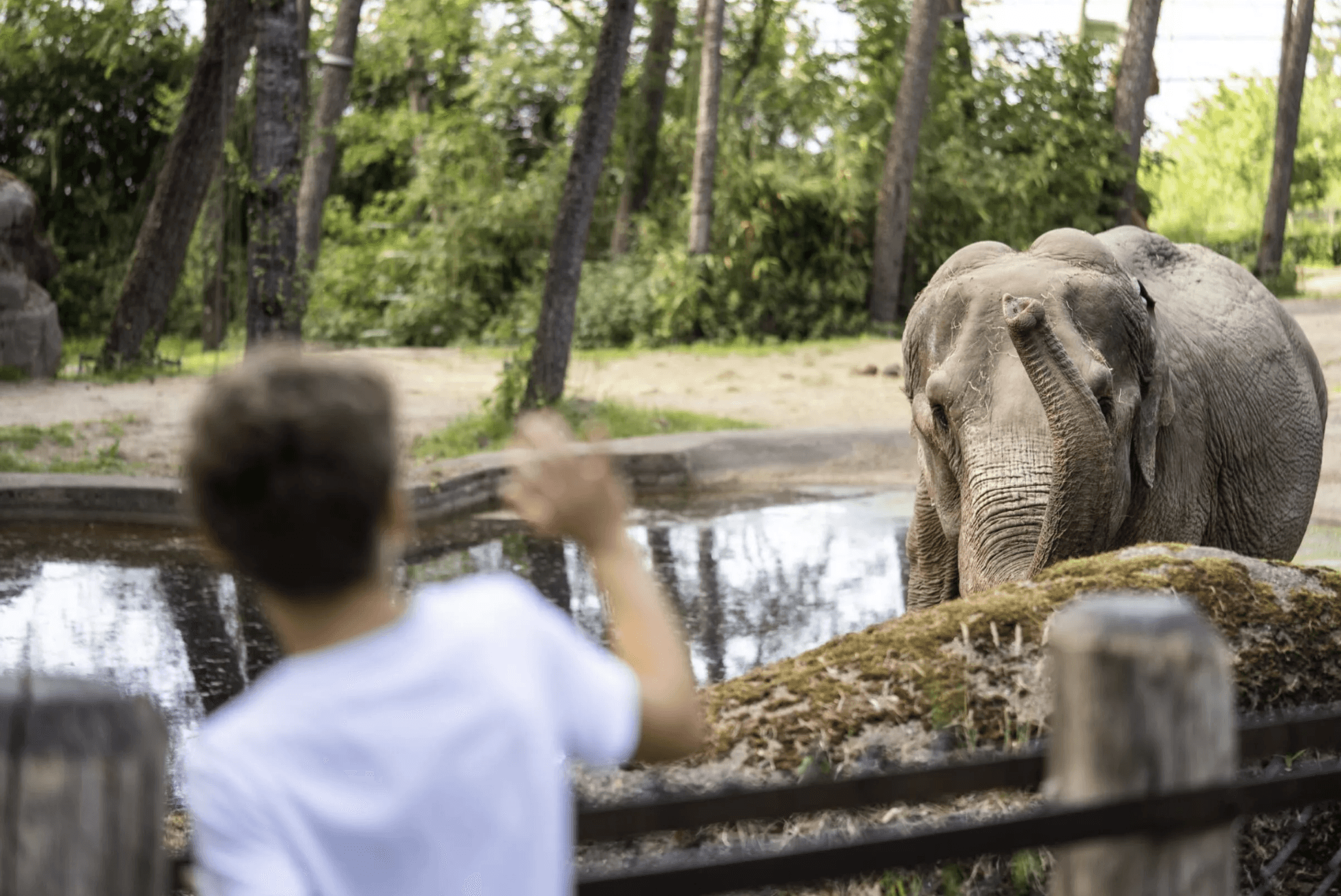 Burgers Zoo - 